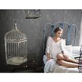 Speak Now Litho #7 - Birdcages