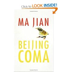 Beijing Coma