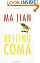 Beijing Coma