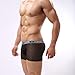 Dominik Men's Sheer Mesh See-Through Boxer Trunks