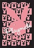 PPL70007 Playboy Playmate 3D Lenticular poster