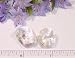 Clear Quartz Tumbled Crystals.