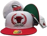Chicago Bulls White/Red Two Tone Wreath Plastic Snapback Adjustable Plastic Snap Back Hat / Cap