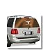 University of Texas Longhorns - Rear Window Tint
