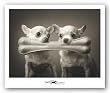 Pip and Squeak by Ron Schmidt 16"x12" Art Print Poster