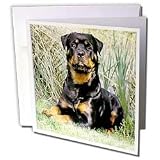 Dogs Rottweiler - Rottweiler - Greeting Cards-6 Greeting Cards with envelopes