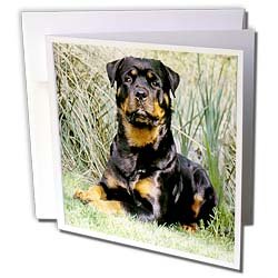 image link - - B000VG1GL0