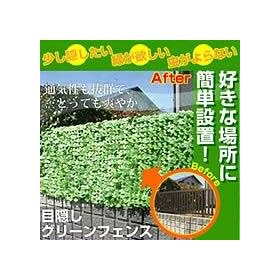 �ډB���O���[���t�F���X 16727