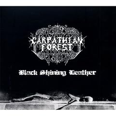 Black Shining Leather