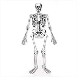 Skeleton Floor Puzzle