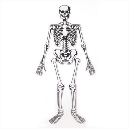 Skeleton Floor Puzzle