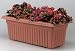 DURACO PRODUCTS DB26 TC PLANTER DECKBOX 26X12X10 Pack of 6