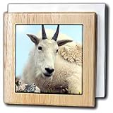 Review 3dRose LLC  / Alpine Goat - 6 Inch Tile Napkin Holder
