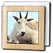 Farm Animals - Alpine Goat - Tile Napkin Holders