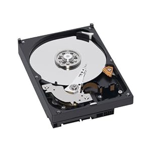 Western Digital Caviar Blue 5000AAKS 500 GB 8,9 cm (3,5 Zoll) interne Festplatte SATA II 7200RPM 16MB Cache