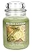 Village Candle Citrus & Sage 26 oz Glass Jar Scented Candle, Large