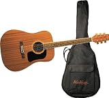 Washburn D100DL Acoustic Guitar with Gig Bag, Black