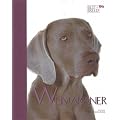 Weimaraner (Best of Breed)