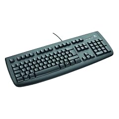Logitech Deluxe 250 Tastatur PS/2 schnurgebunden schwarz OEM (deutsches Tastaturlayout, QWERTZ)