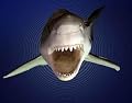 Terror - 24"W x 19"H - Peel and Stick Wall Decal by Wallmonkeys