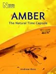 Amber: The Natural Time Capsule