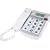 Jwin Jtp531Wht 12-Memory Big-Button Speakerphone With Dual Caller Id (White)