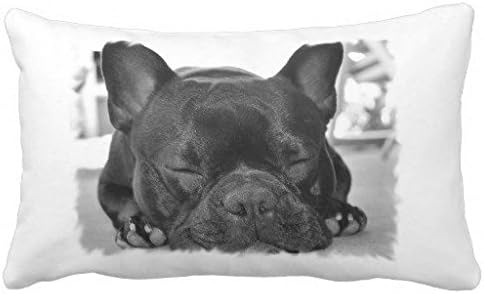 SelfStar French Bulldog Pillow Custom Zippered Pillowcase Pillow Cases Cover 20X26 Inch
