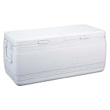 Coleman(コールマン) コールマンマリーンプラス/150QT 5250B798