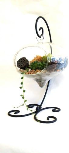 Woodland Succulent Terrarium with Black Stand