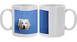 Photo Mug of Labrador from RSPCA