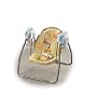 Fisher-Price Open Top Take-Along Swing - Alligator Stripes