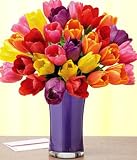 Save on 30 Assorted Tulips by Proflowers