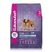 Eukanuba Large Breed Puppy Food - 20 Pounds
