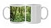 Photo Mugs of ROG-11691 Hazel Coppice - woodland flowers, early purple Orchids a Herb Paris from Ardea Wildlife Pets