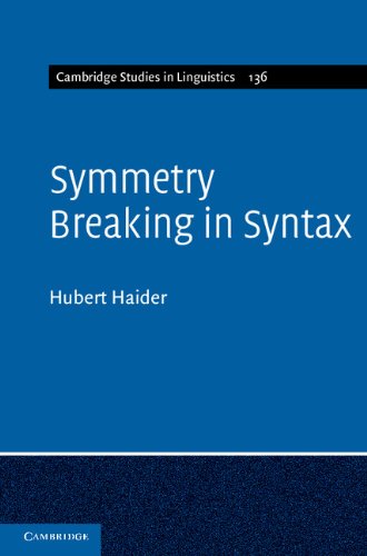 Symmetry Breaking in Syntax (Cambridge Studies in Linguistics, 136)