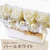 �y���b�Z�[�W�E���b�s���O�����z�@tempo�E�p�[���z���C�g