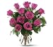 12 Hot Pink Roses