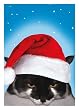 XMAS COUNTER W/ CAT WEARING SANTA HAT