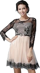 Sexy Polyester Long Sleeves Lace Sheer Mesh Party Dress 