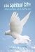 Book John Owen on The Holy Spirit - The Spiritual Gifts (Book IX of Pneumatologia)