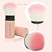 Aisxle Retractable Kabuki Brush - Incredibly Soft - Kabuki Brush - Makeup Brush - Best Gift For Her,Girl Friends,Holidays,Birthday,Valentines,Thanksgiving,Christmas,Anniversary And More