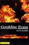 Up in Flames (Severn House Large Print)