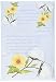 Fresh Scents Scented Sachets - White Cotton, Lot of 6
