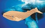 Blue Whale 3D Woodcraft Construction Kit