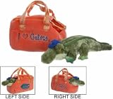 Aurora Florida Gators Purse GREEN