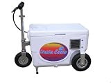 Cruzin Cooler 50-Series 500-Watt Electric Scooter (White)