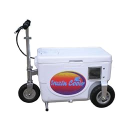 Cruzin Cooler 50-Series 500-Watt Electric Scooter (White)