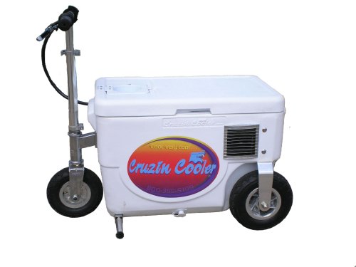 Cruzin Cooler 50-Series 500-Watt Electric Scooter (White)