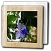 Africia Butterfly Bush Flower Blue Tropical Flower - 6 Inch Tile Napkin Holder
