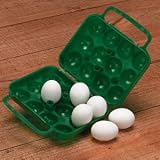 Plastic Egg Carrier, Holds 12 by Texsport